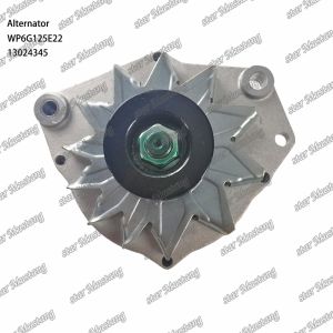 Alternator WP6G125E22 24V 13024345