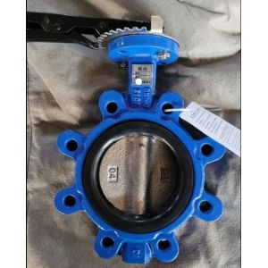 Customized Service and ODM Lug Type Butterfly Valve with Hand Lever