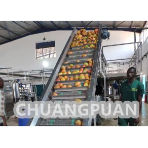 Turn Key PLC Control 1-20T/H Mango Pulp Production Line 220V 380V 440V