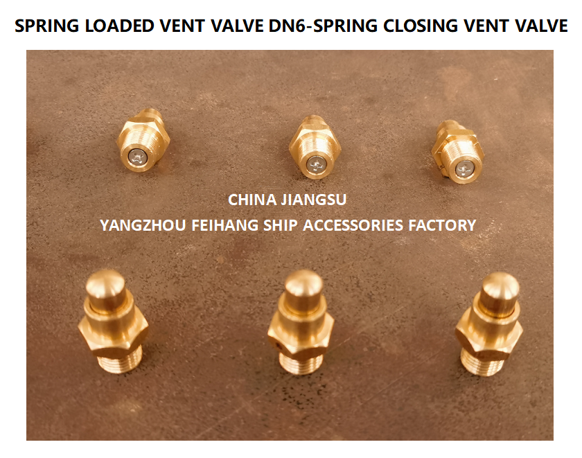 DN6 Size Spring Loaded Vent Valve with Threaded Connection Compliant to CB/T3778