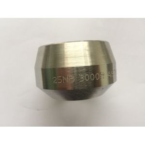 Cheap N08904 904L A182 F904L Duplex Stainless Steel Pipe Fittings Weldolet Threadolet Sockolet for sale