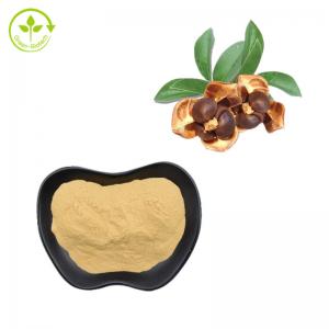 Cheap Tea Seed Extract Natural Saponin Powder 90% For Cosmetic for sale