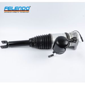 Felendo Air Shock Absorber Rear Left And Right Fit For A8 D3 4E OE 4E0616001E