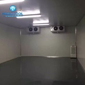 Cheap Customized Size Portable Cold Room -45-20 Centigrade Temperature for sale