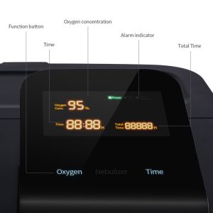 5 Lpm Oxygen Concentrator Generator 220V 50HZ With A Ventilator