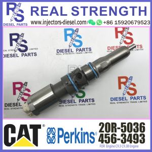 4563493 20R5036 common rail fuel injector 456-3493 20R-5036 for CAT C9.3 engine