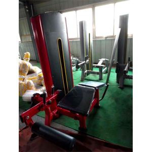 Steel Pin-Loaded Adjustable Seated Leg Press Machine and Prone Leg Curl Dual