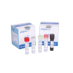 Cheap Highly Sensitive Ultrafast RT PCR Test Kit Fluorescent Probe RT PCR Detection Kit for sale