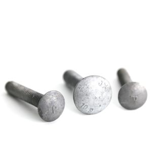 Grade 10.9 Hot Dipped Galvanized Carriage Bolt M10