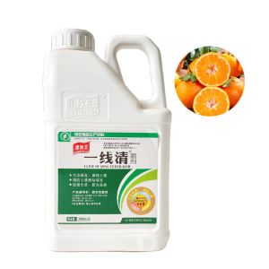 Water Soluble Granular Soil Conditioner Seaweed Organic Fertilizer