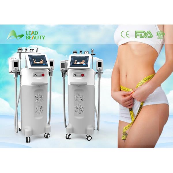 Quality CE Cryolipolysis fast slim cryolipolysis freezing fat cell slimming machine wholesale