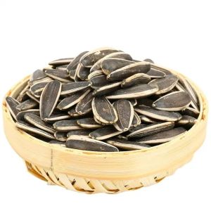 Cheap Enhance Your Snacking Experience with Natural Sunflower Seeds T5 for sale