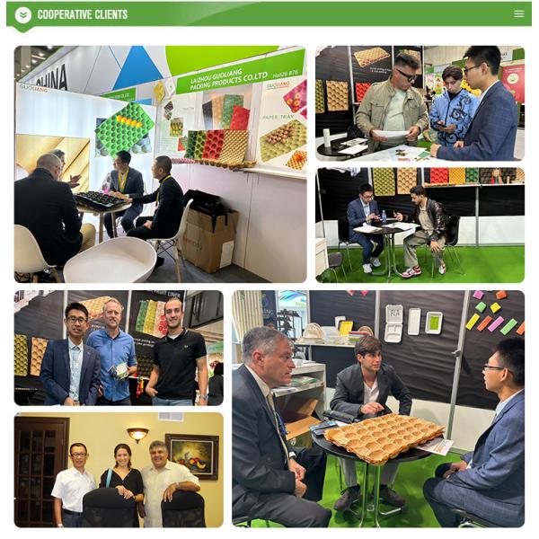 Customized Kraft Paper Moulded Pulp Trays Disposable Fruit Packaging Tray for Apple and Avocado