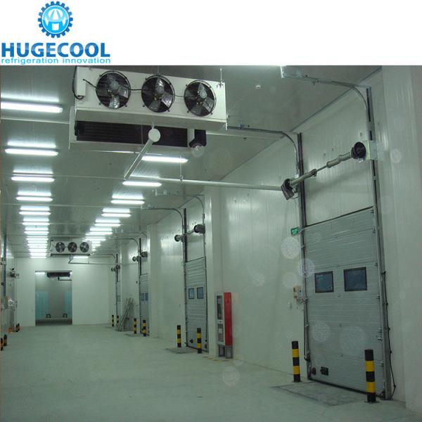 Large High Density Polyurethane Panel Cold Room for Meat and Fish Assembled