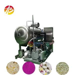 China Food Beverage Industry Vacuum Freeze Drying Machinery for Fruit Vegetable Seafood on sale