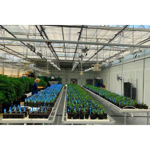 Precise and Accurate Monitoring Hydroponic Seedling Greenhouse with Humidity