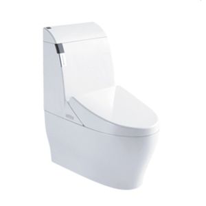 China Ceramic white new design S-trap composting toilet on sale