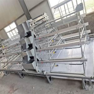 China Broiler Meat Galvanized Chicken Cage 13 Chicks/Cell Automatic Feeding on sale