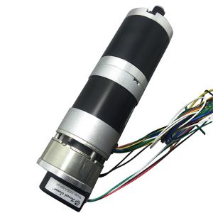 Custom12v 24v 36v 48v High Torque DC Gear Motor Brushed or Brushless 50 watt 100