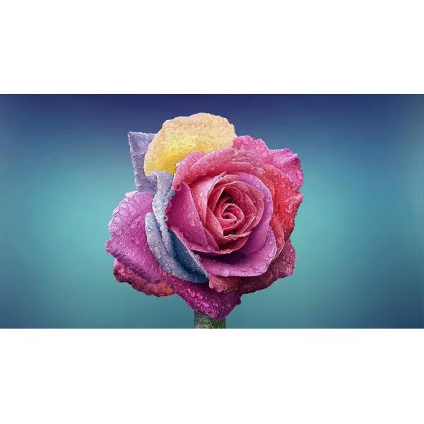 2024 New 4K Laser Portable 6500 Lumens Projector For Outdoor Large Venue Use