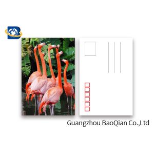 Loverly Flamingo Lenticular Image Printing Postcard , 3D Lenticular Picture