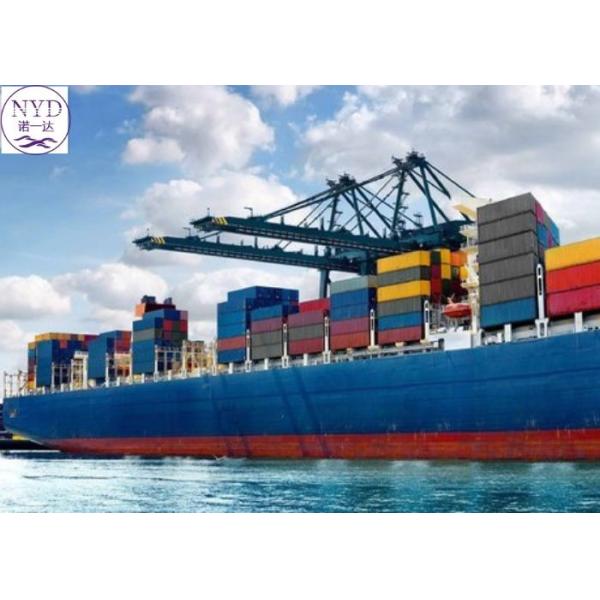 Sea Freight International Freight Forwarder With Documentation Reverse Logistics