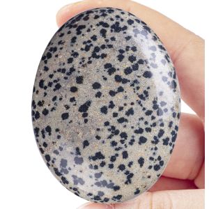 Natural Polished Dalmatian Jasper Palm Stone Oval Shaped Dalmatian Crystal