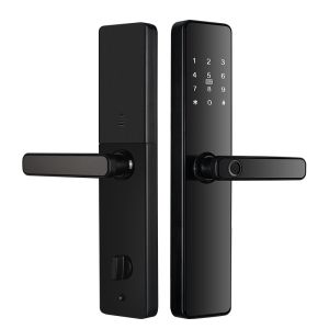 Stainless Steel Door Black/Red Bronze Newest Intelligent Digital Tuya WiFi App