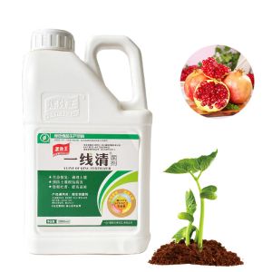 Crop Nutrition Soil Conditioner Fertilizer 60-70% Shiny Flake Potassium Humate