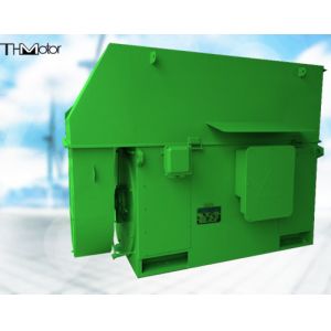 3kv-11kv 250r/Min AC Synchronous Motor IEC GB PMSM Motor IP00 IP20 IP21 IP23