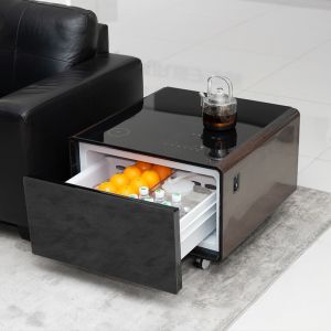 PRIMST 2024 Mini Refrigerator Coffee Table The Ultimate Smart Furniture for Your