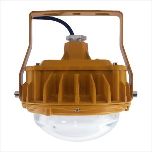 Industrial Convex Glass Explosion Proof Lighting Fixtures Flood Light 60Hz