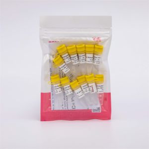 NGS Multiplex 100X Amplification Fidelity PCR Master Mix 400 Reactions