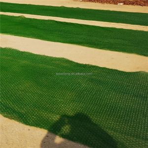 Slope Protection and After-sale Service EM2 3d Erosion Control Geomat Sheet for
