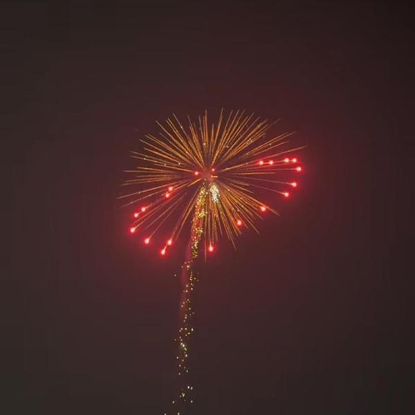 Quality Mandarin Professional 1.3g Pyrotechnics Firecrackers Artillery Salute Shell Canister 4 Inch Display Shells Fireworks wholesale