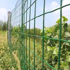 Hot-dipped Galvanized Welded Wire Mesh Panel Fencing With PVC Coating