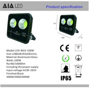 Modern luminaire rainproof IP66 led flood light COB 100W LED Floodlight fixture