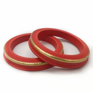 Corrosion Resistance Flexible API Standard Hammer Union Lip Seal Rings