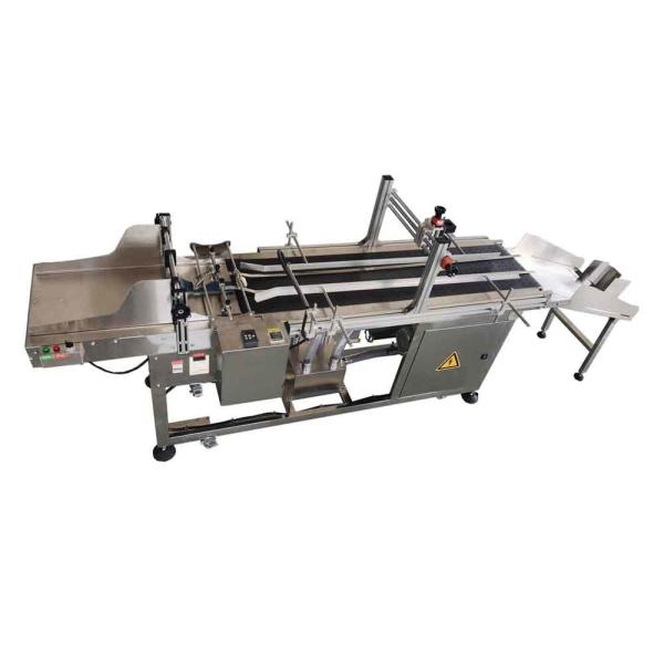 Quality 2200mm Length Vacuum System Plastic Bags Paging Machine With TIJ Bracket And Receiver wholesale