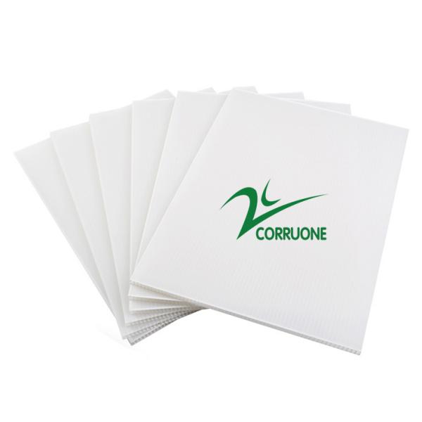 Quality Flame Retardant White Coroplast Board Glossy Lamination wholesale