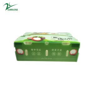 Mangosteen PP Corrugated Box Glossy Apple Coroplast Box Customized