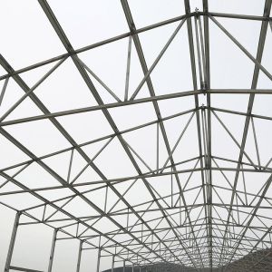 Light Steel Structure Poultry Farming Structures Poultry House