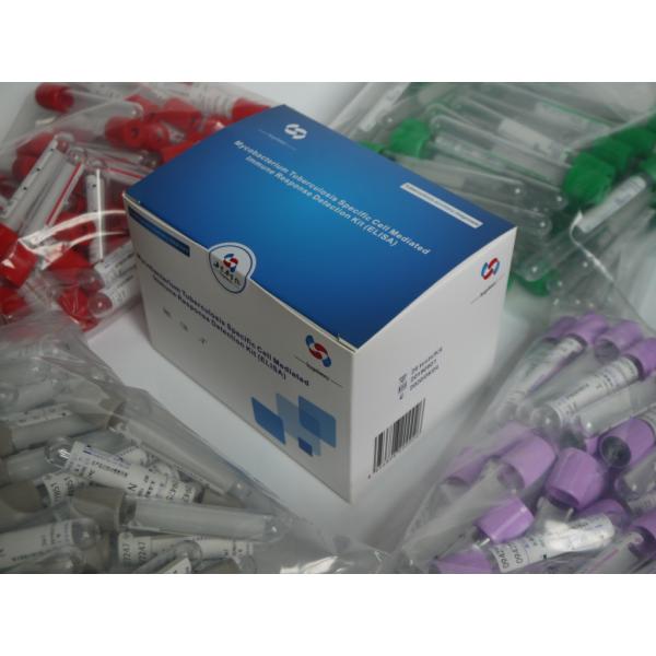 Quality IGRA TB Elisa Test Kit Interferon Gamma Release Assay For Mycobacterium Tuberculosis wholesale