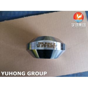 Stainless Steel Fitting ASTM A182 F304 1.4301 Weldolet MSS SP-97