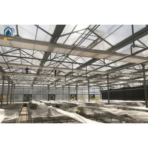Rust Resistant Polycarbonate Greenhouses For Herb Cultivation And Hydroponics