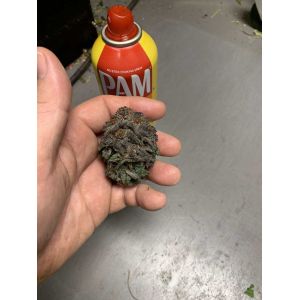 Foldable Igrowbio 860W High PPFD LED Grow Light