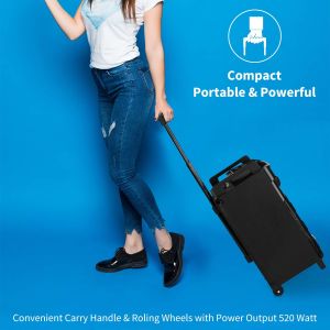 Portable Bluetooth Speaker with 12" Plastic Subwoofer and Microphone