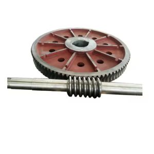 Cheap High Strength Custom Worm Gears Shaft Large Worm Gear OEM Available for sale