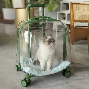 China PC Material Clear Capsule Pet Travel Bag with Trolley Wheel Large Capacity Cat Dog Luggage Portable Transparent Holder on sale