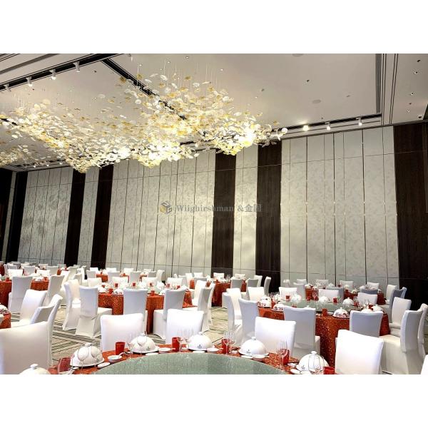 Door Within Door Acoustic Moveable Wall Partition For Easy Customization And